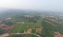 狮岭镇新闻爆料,聚焦当地热点事件与社区动态